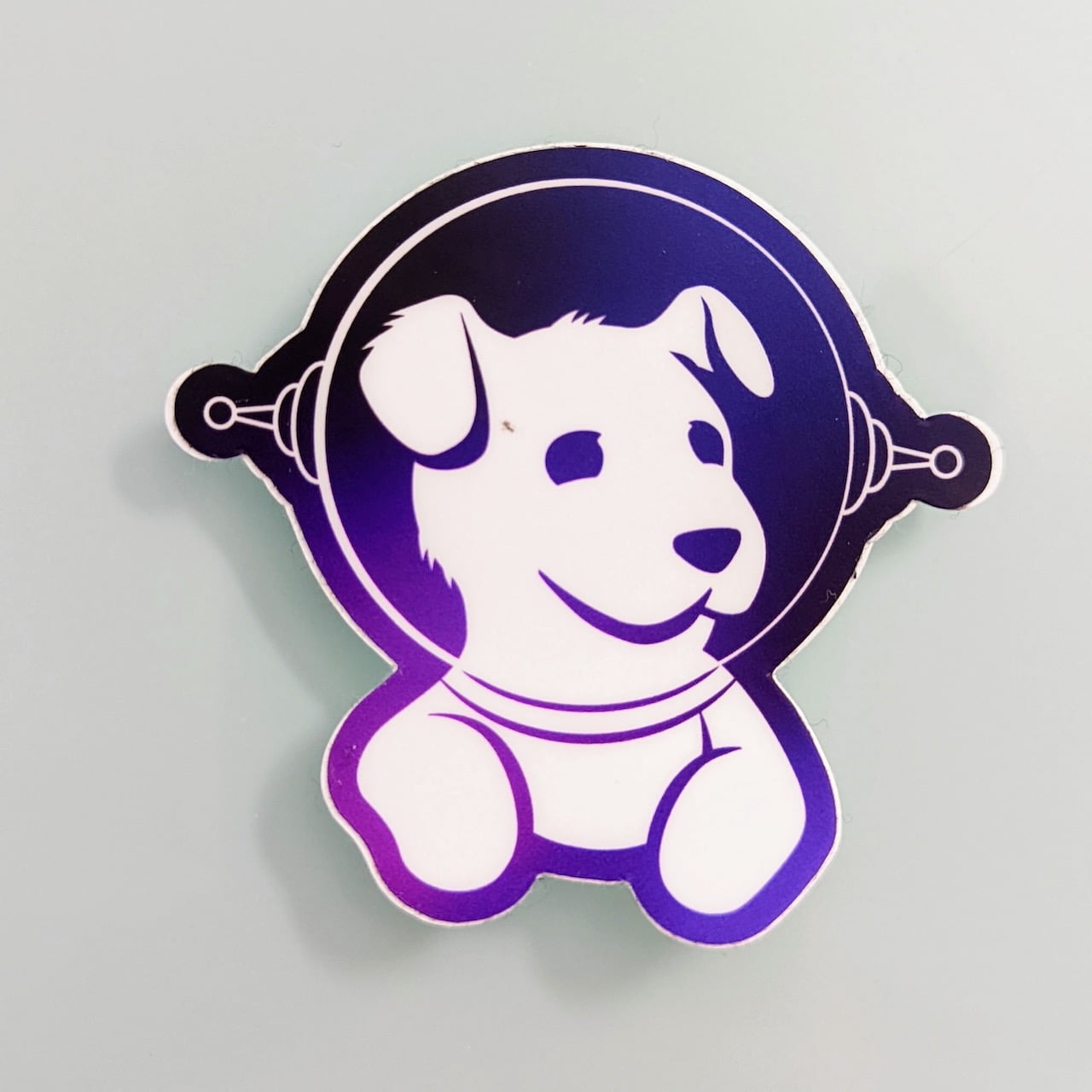 Space Bits